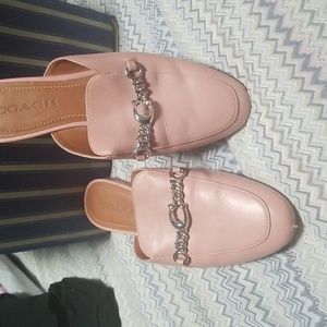 Coach size 7 mules